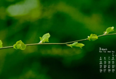 ​霞字拆开做个网名(精选79个)