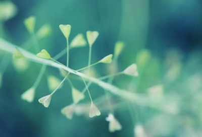 ​忘记过去的网名(精选66个)