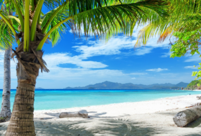 ​火影忍者名字大全(精选73个)