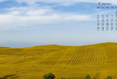 ​有关于脱发的有趣网名(60个)