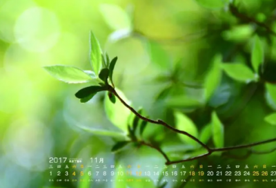 ​有创意的车队名字大全(精选70个)