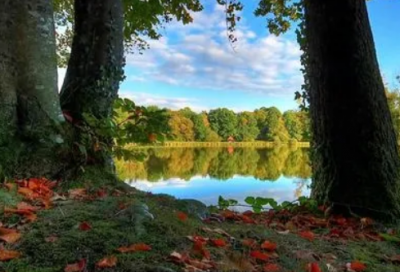 ​又温柔又丧的网名(精选67个)