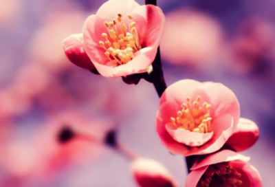 ​我姓陈的专属昵称(72个)