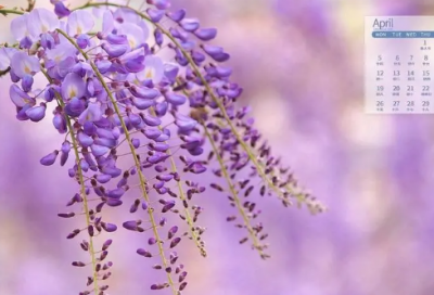 ​对老公有哪些爱的昵称(精选64个)