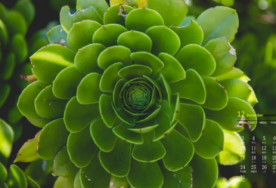 ​给闺蜜的备注沙雕的昵称