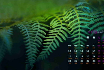 ​以青春为主题的舞蹈名字