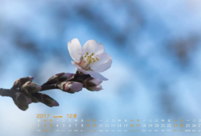 ​带辉的独一无二网名