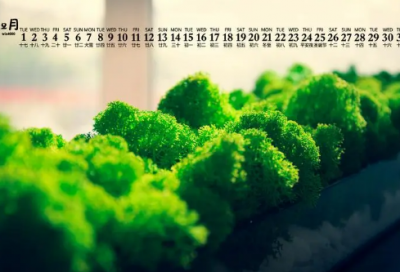 ​故字开头的忧伤网名(精选77个)