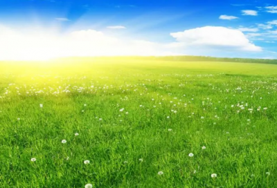 ​带有叶字的唯美网名(共77个)