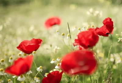 ​以大健康为主题的名字(45个)