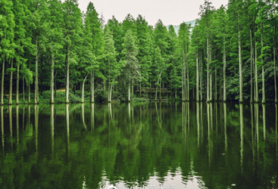 ​上档次的足疗店名字(精选66个)