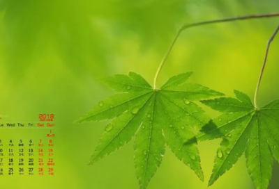 ​时尚潮流个性网名(精选63个)