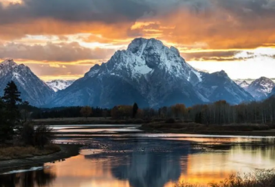 ​梅花气质的网名(精选65个)