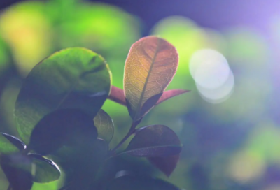 ​简单大气的舞蹈名字(精选62个)