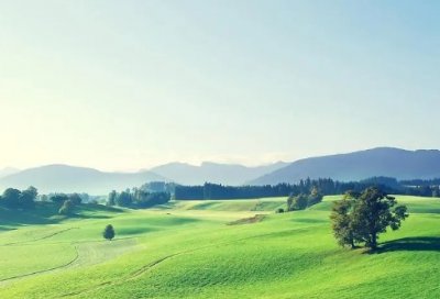 ​带虎的古风名字（带虎的名字霸气）