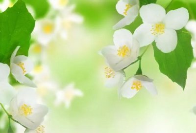 ​仙气温柔的二字网名（古风仙气id二字500个）