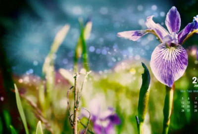 ​有趣的诗人网名大全(61个)