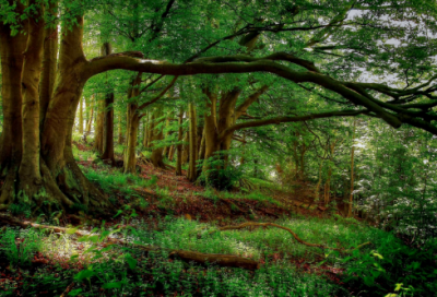 ​快手带英字网名大全(51个)