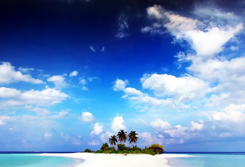 1711052710575947.png image.png