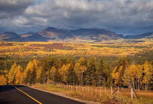 1688408993610048.png image.png