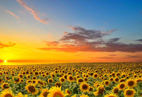 1715827159312195.png image.png