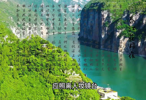 1766259592949711.png image.png